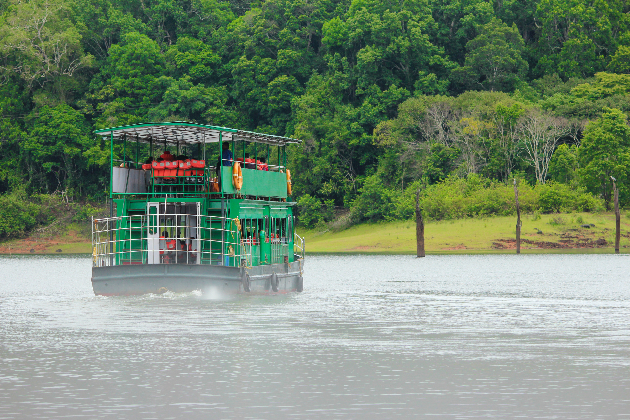 periyar national park (2).webp